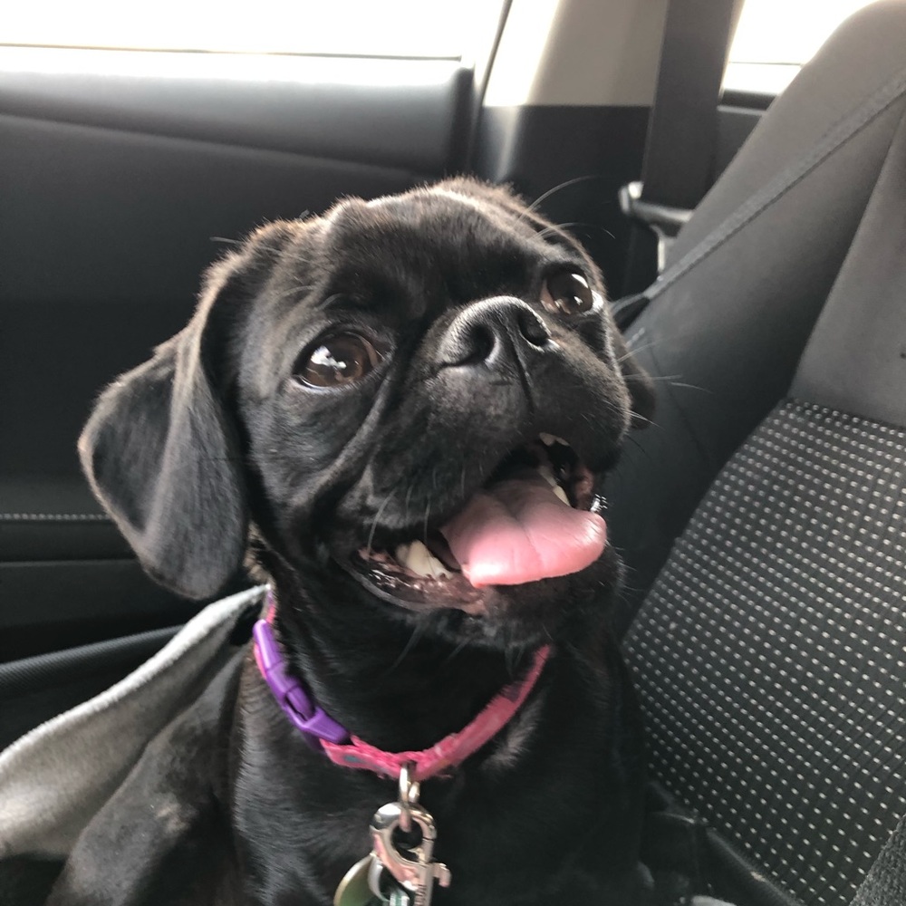 Meet your Posher, Katie